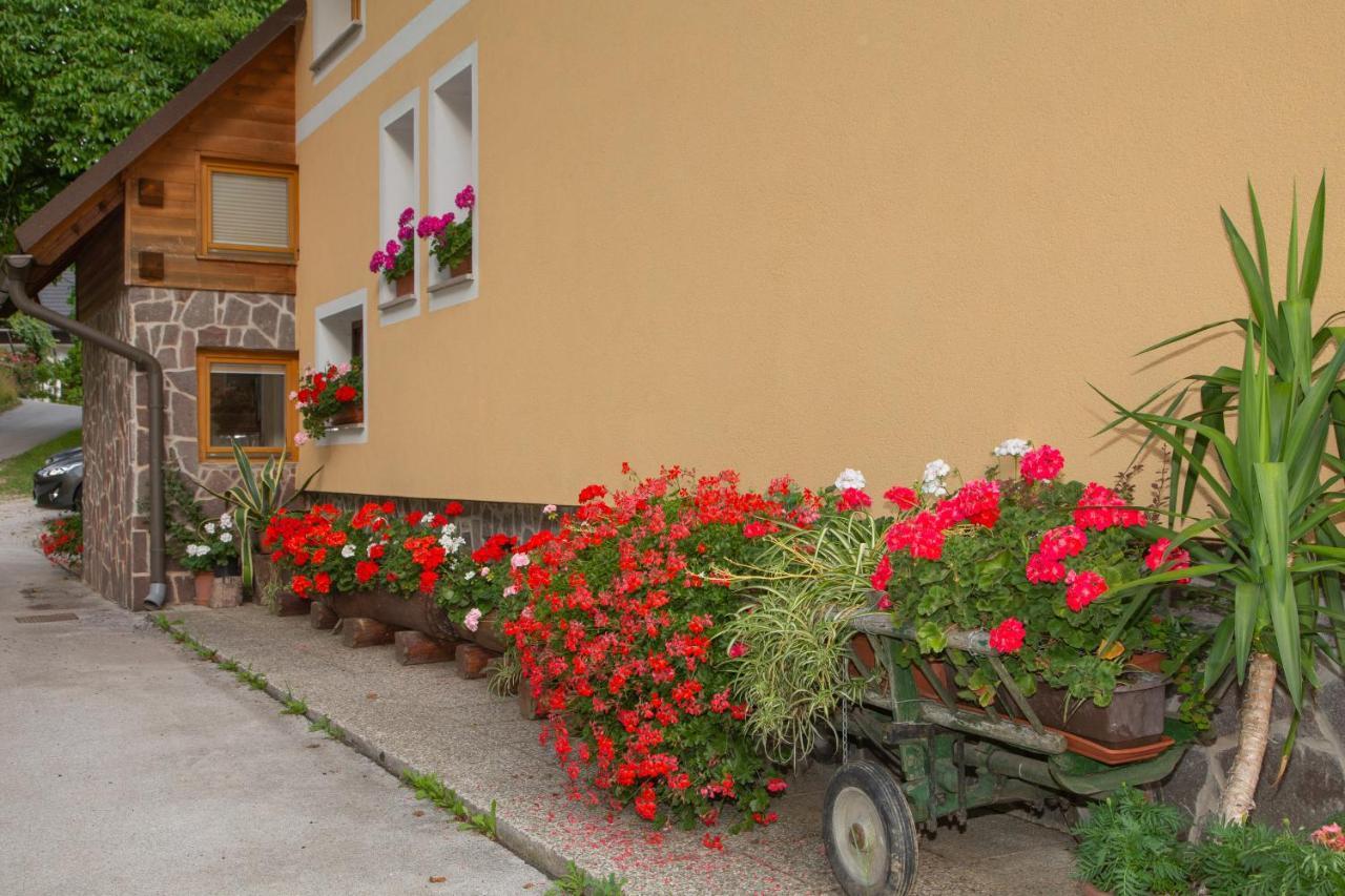Apartma Erlah Apartment Бохин Екстериор снимка